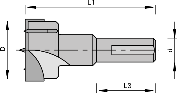 Tungsten Carbide 2 Flute 70mm Hinge Boring Drill Bit